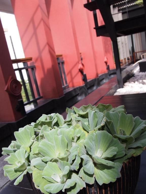 Loogchoob Homestay Bangkok Exterior foto